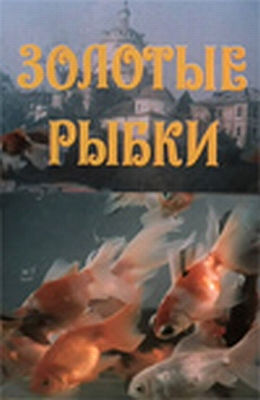   (1981)